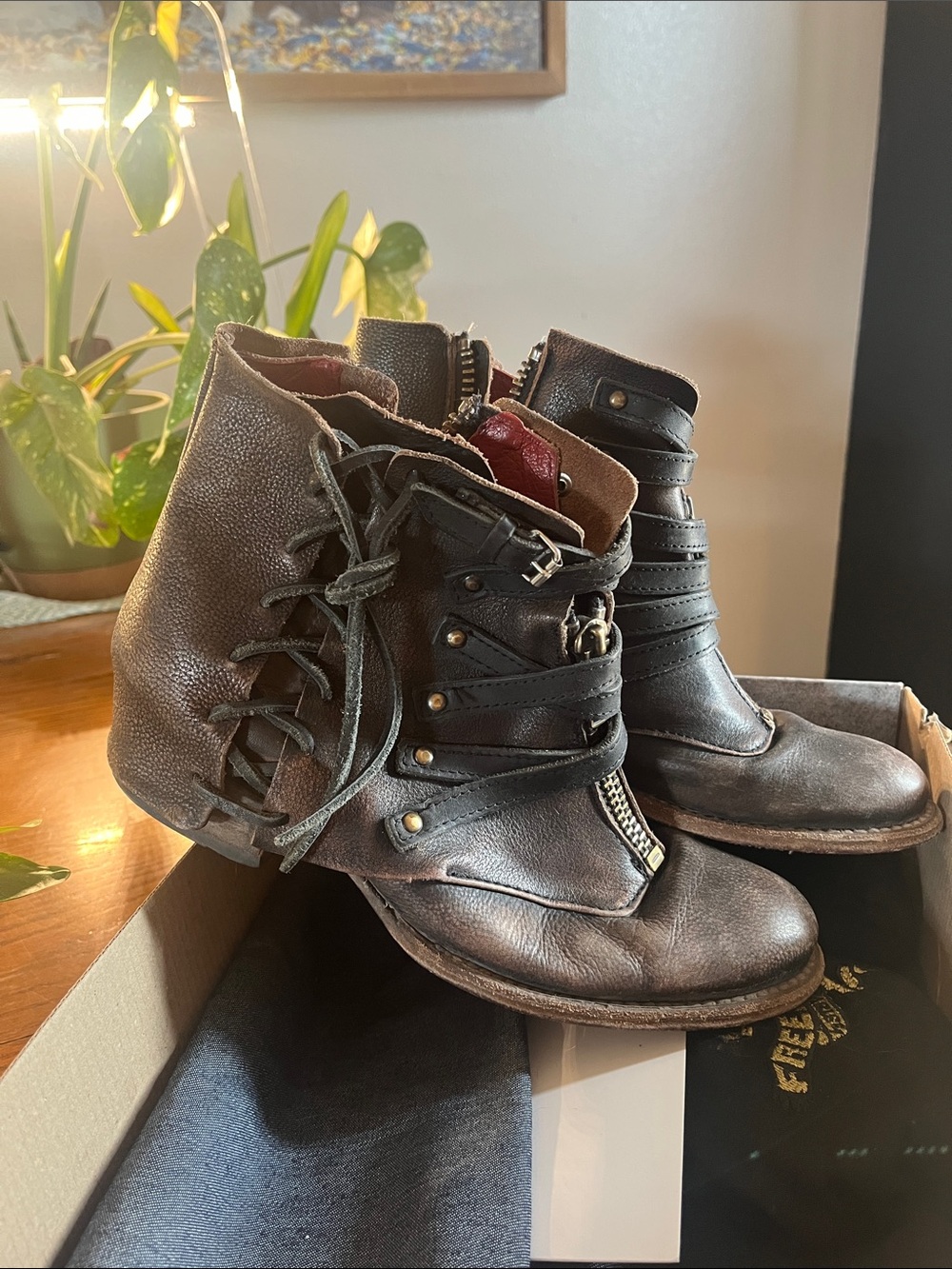 Freebird by Steven Limerick Brown Leather Lace-Up Zip Ankle Boots - Picture 2 of 8